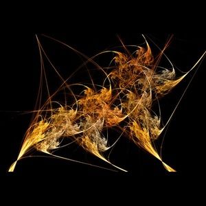 Meet your Posher, Jesse